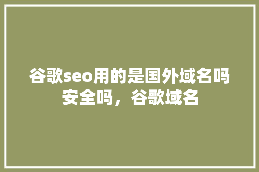 谷歌seo用的是国外域名吗安全吗，谷歌域名 SEO关键词