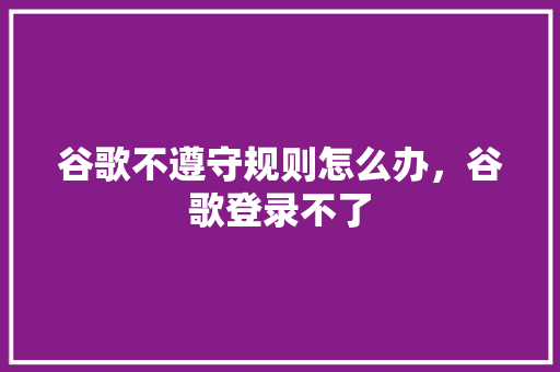 谷歌不遵守规则怎么办，谷歌登录不了 百度SEO