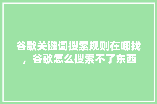 谷歌关键词搜索规则在哪找，谷歌怎么搜索不了东西 SEO关键词