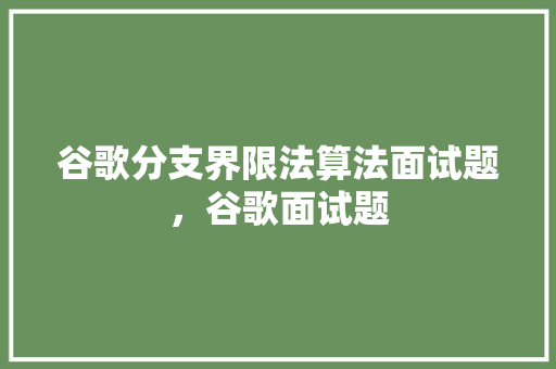 谷歌分支界限法算法面试题，谷歌面试题 必应SEO