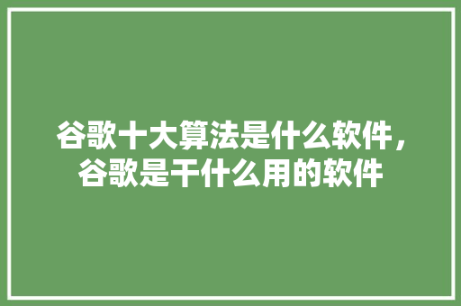 谷歌十大算法是什么软件，谷歌是干什么用的软件 神马SEO