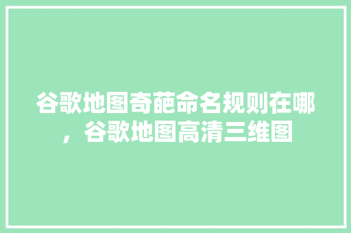 谷歌地图奇葩命名规则在哪，谷歌地图高清三维图 必应SEO