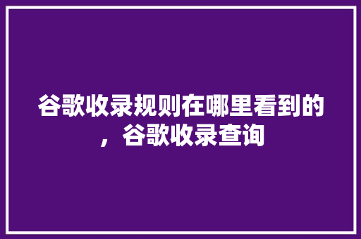 谷歌收录规则在哪里看到的，谷歌收录查询 必应SEO