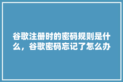 谷歌注册时的密码规则是什么，谷歌密码忘记了怎么办 网站建设公司