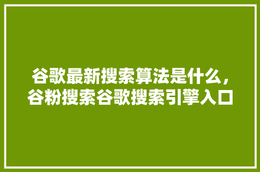 谷歌最新搜索算法是什么，谷粉搜索谷歌搜索引擎入口 必应SEO