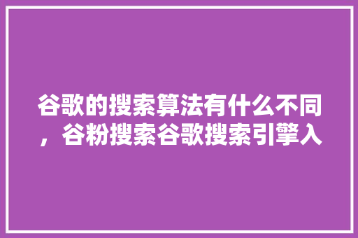 谷歌的搜索算法有什么不同，谷粉搜索谷歌搜索引擎入口 网站建设公司
