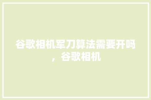 谷歌相机军刀算法需要开吗，谷歌相机 SEO关键词