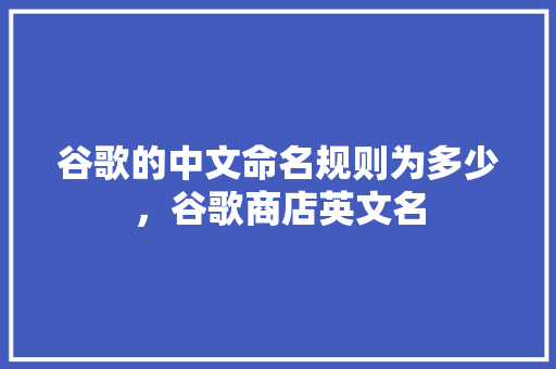 谷歌的中文命名规则为多少，谷歌商店英文名 神马SEO