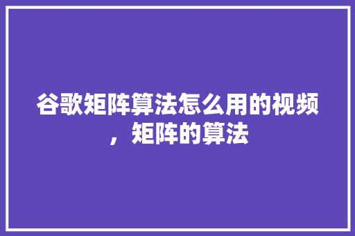 谷歌矩阵算法怎么用的视频，矩阵的算法 网站建设公司