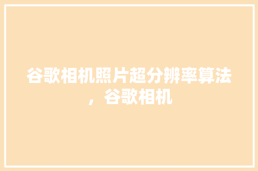 谷歌相机照片超分辨率算法，谷歌相机 必应SEO