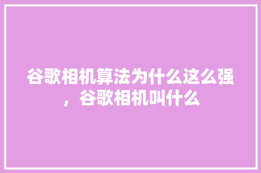 谷歌相机算法为什么这么强，谷歌相机叫什么 百度SEO