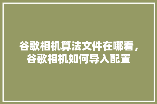 谷歌相机算法文件在哪看，谷歌相机如何导入配置 百度SEO