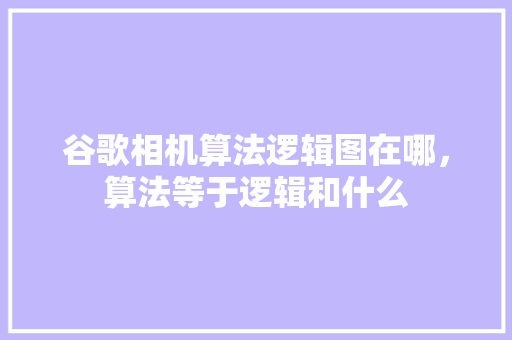谷歌相机算法逻辑图在哪，算法等于逻辑和什么 必应SEO