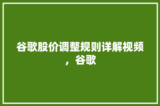谷歌股价调整规则详解视频，谷歌 神马SEO