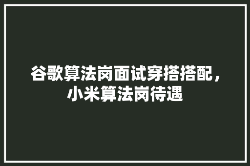 谷歌算法岗面试穿搭搭配，小米算法岗待遇 神马SEO
