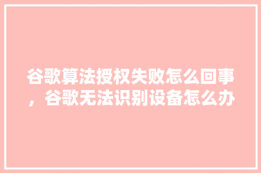 谷歌算法授权失败怎么回事，谷歌无法识别设备怎么办 网站建设公司