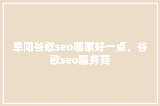 阜阳谷歌seo哪家好一点，谷歌seo服务商 百度SEO