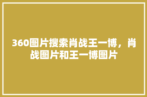 360图片搜索肖战王一博，肖战图片和王一博图片 网站建设公司
