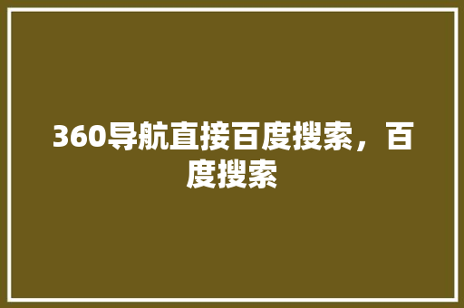 360导航直接百度搜索，百度搜索 百度SEO