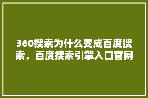 360搜索为什么变成百度搜索，百度搜索引擎入口官网 必应SEO