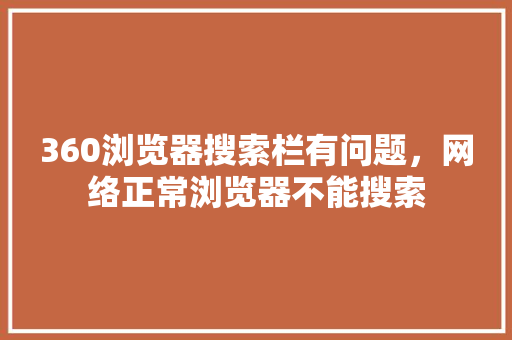 360浏览器搜索栏有问题，网络正常浏览器不能搜索 必应SEO