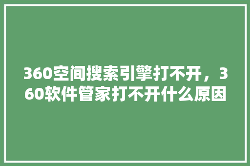 360空间搜索引擎打不开，360软件管家打不开什么原因 网站建设公司
