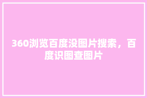 360浏览百度没图片搜索，百度识图查图片 SEO关键词