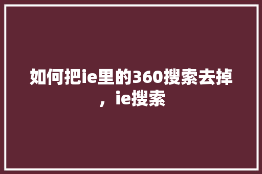 如何把ie里的360搜索去掉，ie搜索 必应SEO