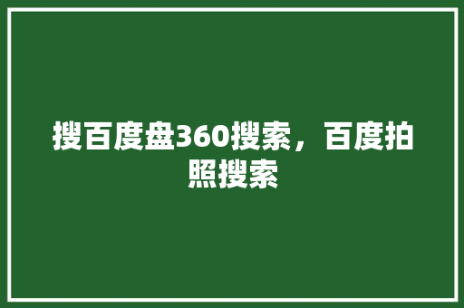 搜百度盘360搜索，百度拍照搜索 必应SEO