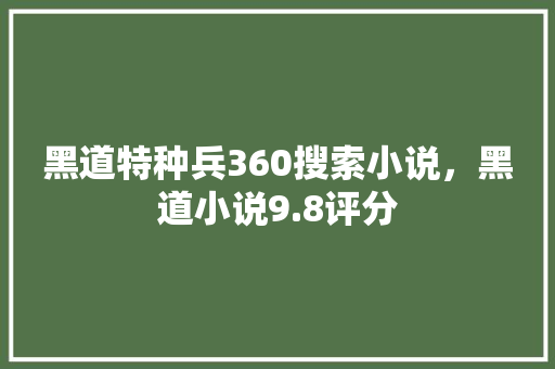 黑道特种兵360搜索小说，黑道小说9.8评分 SEO关键词