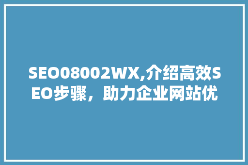 SEO08002WX,介绍高效SEO步骤，助力企业网站优化 必应SEO