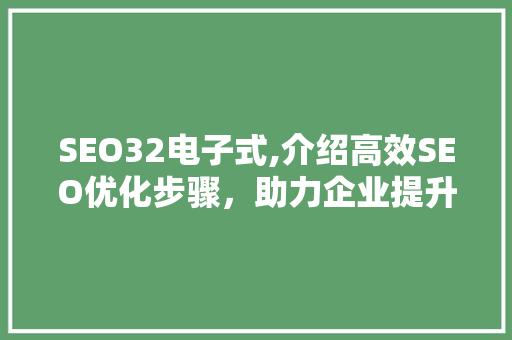 SEO32电子式,介绍高效SEO优化步骤，助力企业提升网站排名 网站建设公司