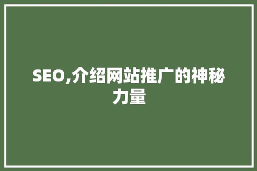 SEO,介绍网站推广的神秘力量 SEO关键词
