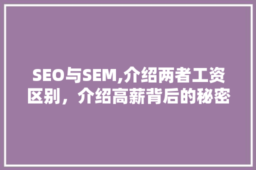 SEO与SEM,介绍两者工资区别，介绍高薪背后的秘密 网站建设公司
