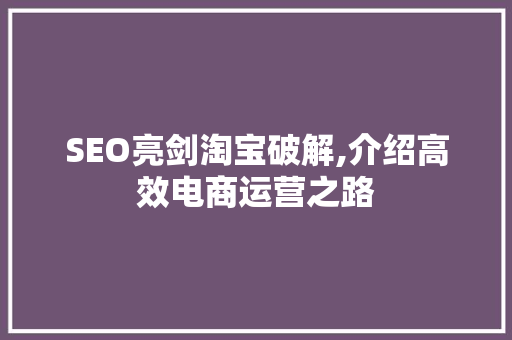 SEO亮剑淘宝破解,介绍高效电商运营之路 SEO关键词
