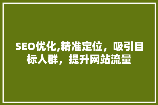 SEO优化,精准定位，吸引目标人群，提升网站流量 百度SEO