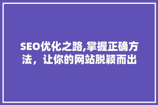 SEO优化之路,掌握正确方法，让你的网站脱颖而出 搜狗SEO