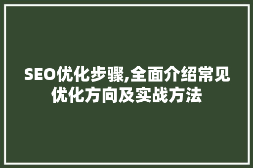 SEO优化步骤,全面介绍常见优化方向及实战方法 必应SEO