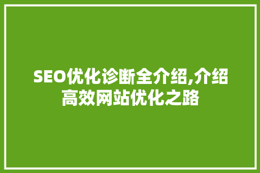 SEO优化诊断全介绍,介绍高效网站优化之路