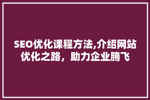 SEO优化课程方法,介绍网站优化之路，助力企业腾飞