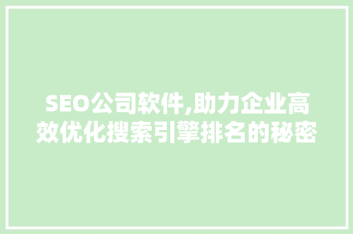 SEO公司软件,助力企业高效优化搜索引擎排名的秘密武器 必应SEO