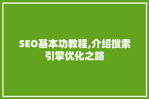 SEO基本功教程,介绍搜索引擎优化之路 百度SEO