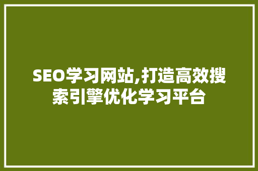 SEO学习网站,打造高效搜索引擎优化学习平台 网站建设公司
