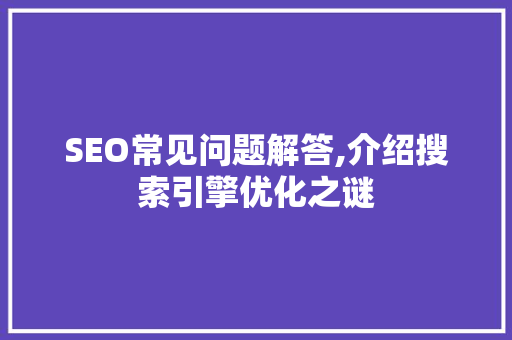 SEO常见问题解答,介绍搜索引擎优化之谜