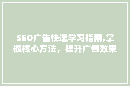 SEO广告快速学习指南,掌握核心方法，提升广告效果 必应SEO