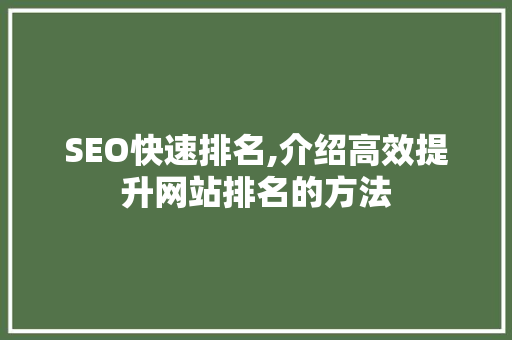 SEO快速排名,介绍高效提升网站排名的方法 百度SEO