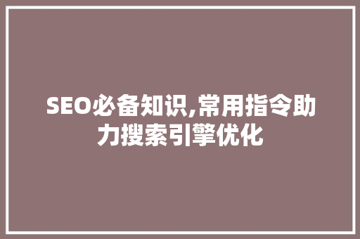 SEO必备知识,常用指令助力搜索引擎优化 SEO关键词