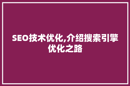 SEO技术优化,介绍搜索引擎优化之路