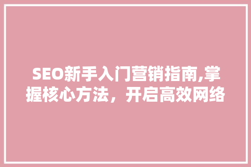 SEO新手入门营销指南,掌握核心方法，开启高效网络营销之旅 SEO关键词