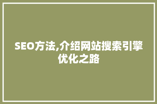 SEO方法,介绍网站搜索引擎优化之路 网站建设公司